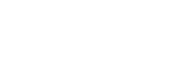 havaianas