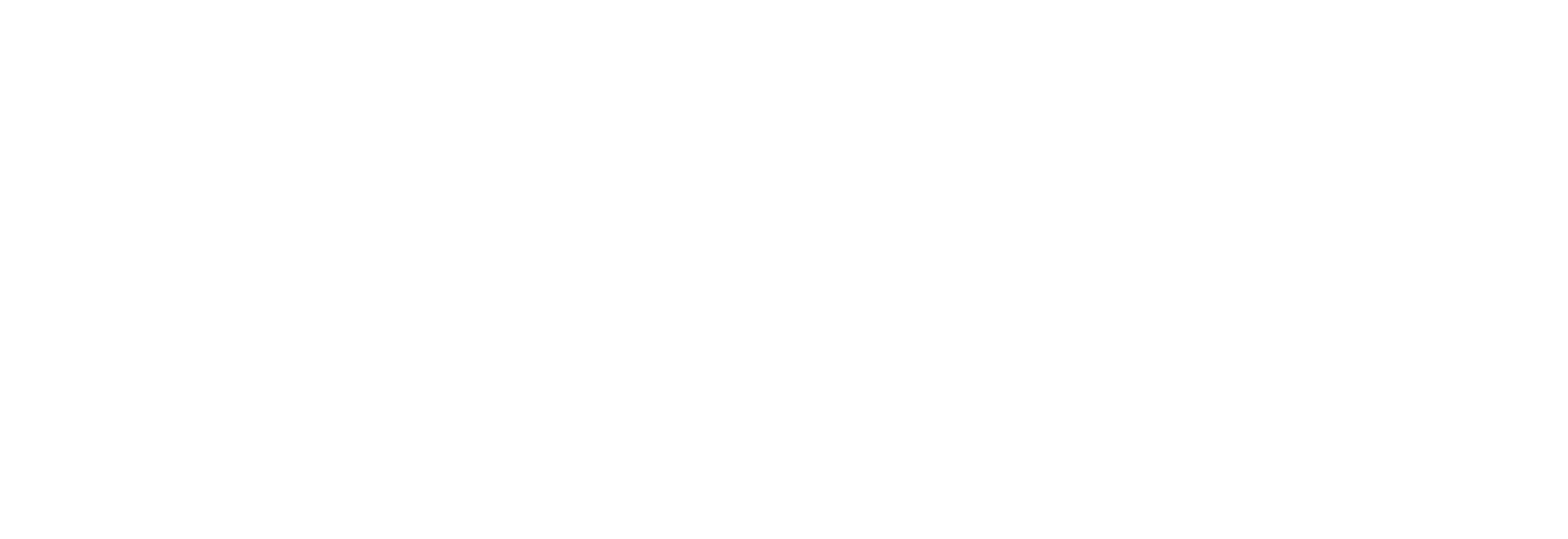 VANS - logotyp - vit